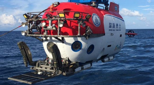 盐城市亭湖区黄尖牡丹园将举办牡丹节