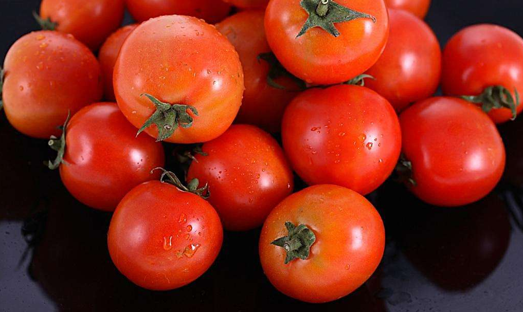 苏州将建社会工作督导人才库 相关管理办法出